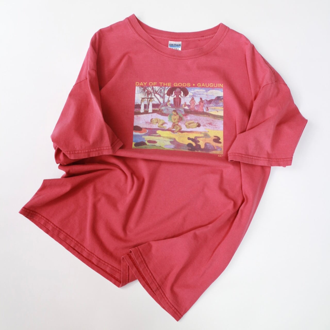 1990's SCREEN STARS BEST made in USA “秋田犬 T-Shirt” | Dancing on