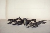 フランス 黙想する動物たちとブロンズのカトラリーレスト ウサギさん アンティーク
