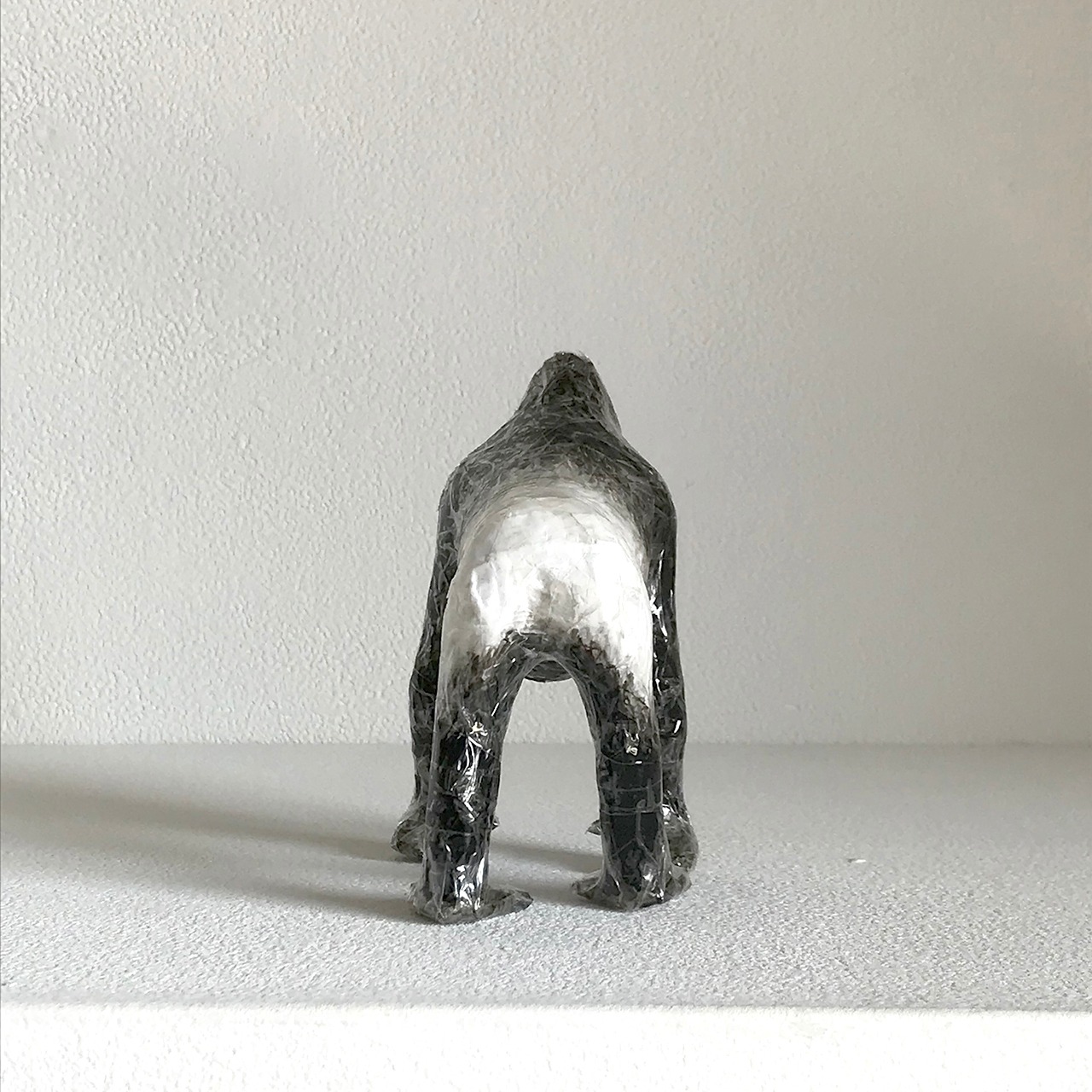 植田 楽さん／#37　ニシローランドゴリラ