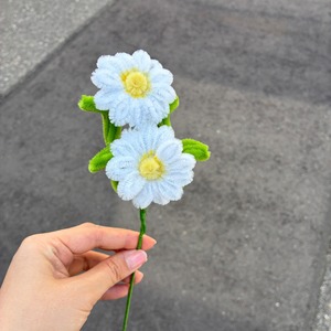 【アウトレット】グラデーションデイジー＜展示品＞