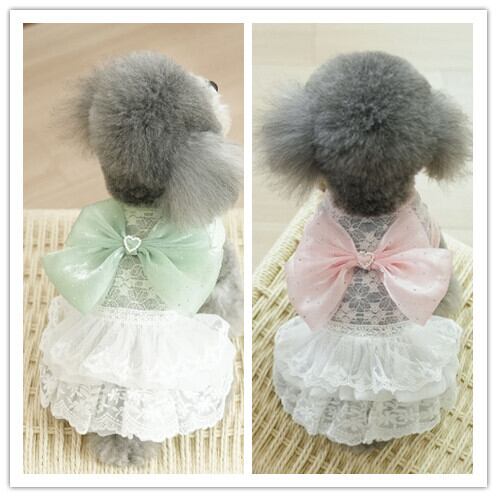 《予約》3102406 レースリボンワンピース