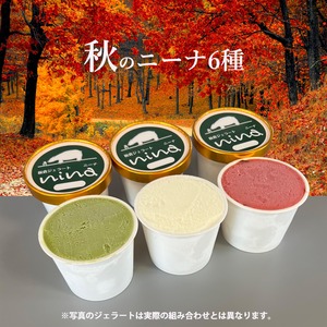 秋のニーナ（90ｍL×6個）