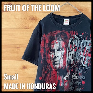 【FRUIT OF THE LOOM】ザ・カラー・モラール バンドTシャツ ロックTシャツ イラスト ビッグプリント the color morale US古着 アメリカ古着