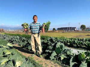 【リニューアル!】野菜計画の"濃い味"野菜箱大盛り（＊初回限定10％OFF）