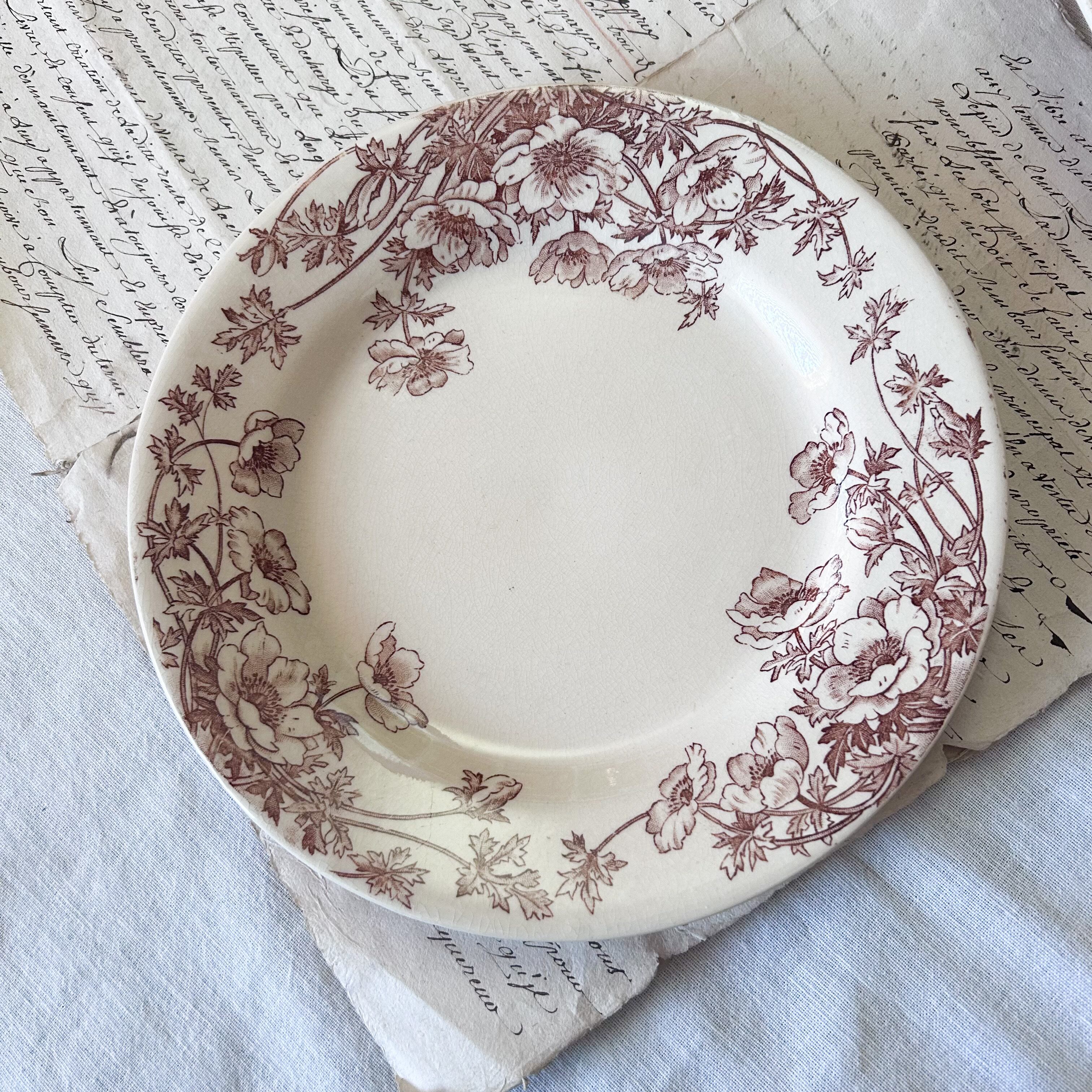 ｱﾝﾃｨｰｸ ﾎﾞﾝﾇ ｼｬﾝｽ