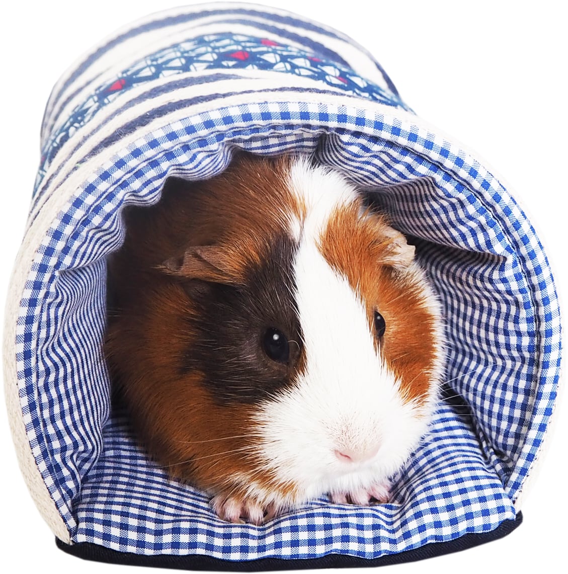 【小動物用品】みんなのトンネルマリン レッド/ブルー