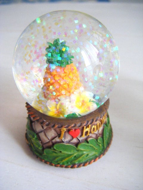 Hawaii スノードーム♪ | &.Aloha あんど.あろは Hawaiizakka Select shop