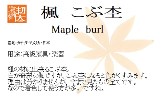 0.5mmペンシル楔 スタビライズドウッド 楓こぶ杢 4 | 工房 楔（せつ）