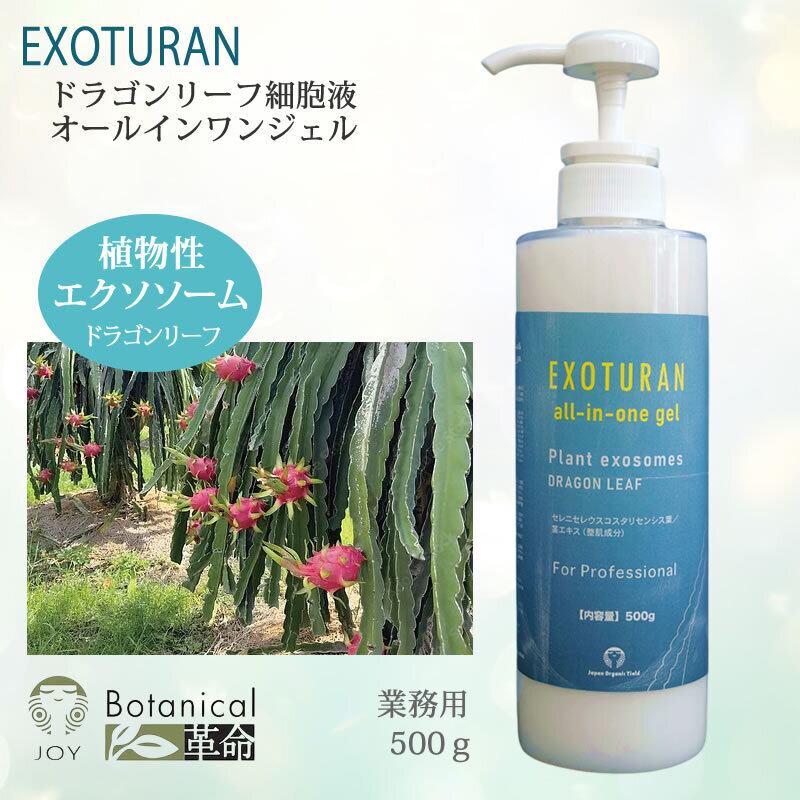 アロエベラドリンク【植物エクソソーム】 【公式通販】
