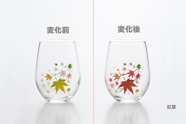 【0752-048-03】『冷感フリーグラス』『単品』『紅葉』*秋 紅葉 グラス 母の日 父の日 贈り物 温度 変化 記念 ギフト プレゼント お祝い