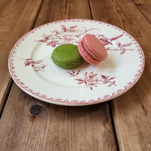 Sarreguemines サルグミンヌ デザートプレート / FAVORI #1