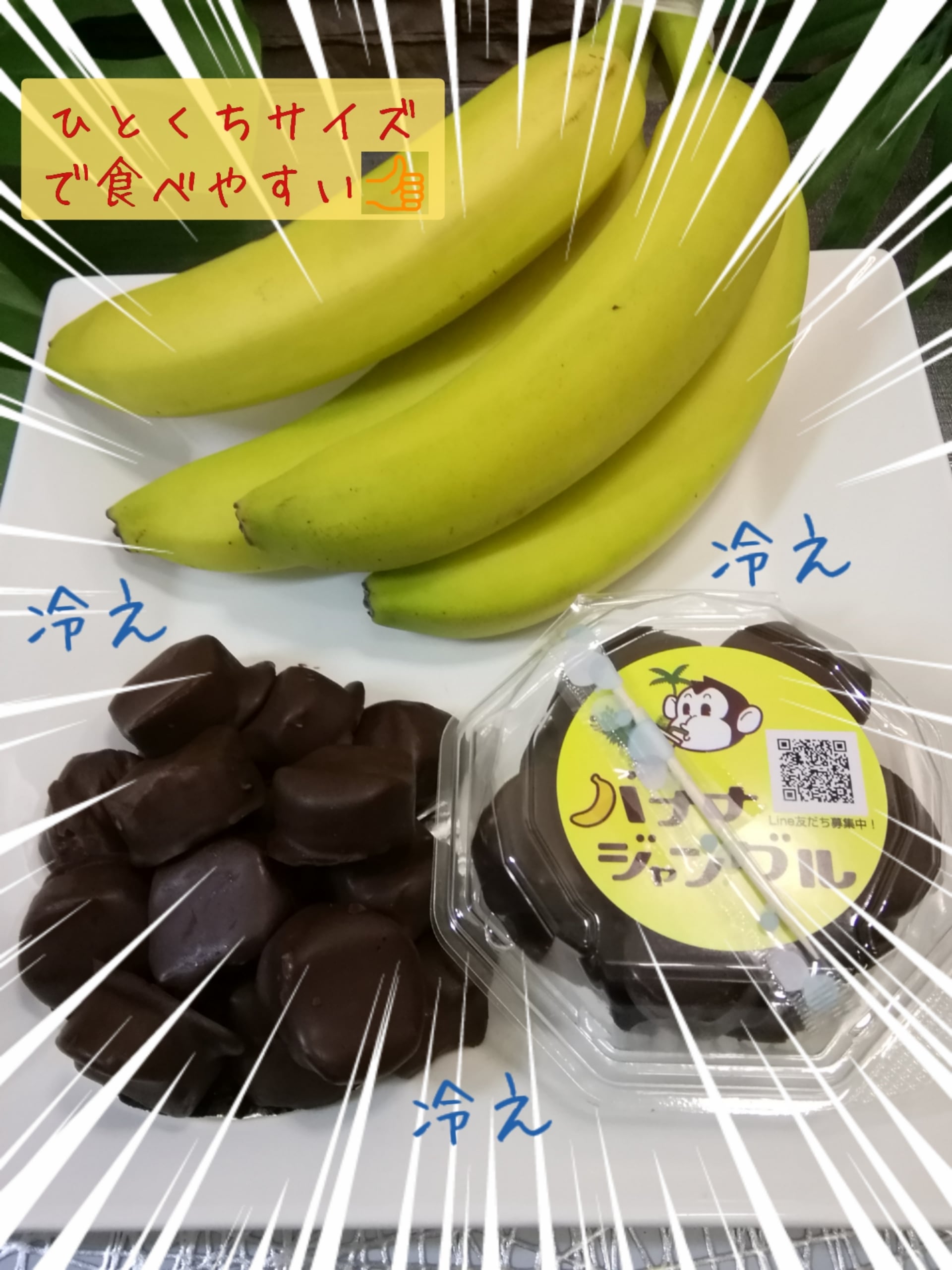 チョコバナナ カップ入り冷凍ひとくちチョコバナナ 5カップセット バナナ ジャングル