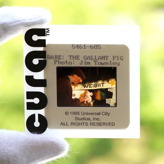 1995 / Babe / Positive film with case / 66x66 mm【SL00000254009】