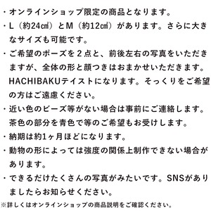 オンラインショップ限定 うちのこブローチ Mサイズ／受注販売