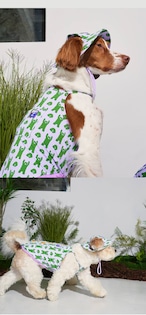 【PUPPYGALLERY公式】Bouncing Bear Bucket Hat　L-XL