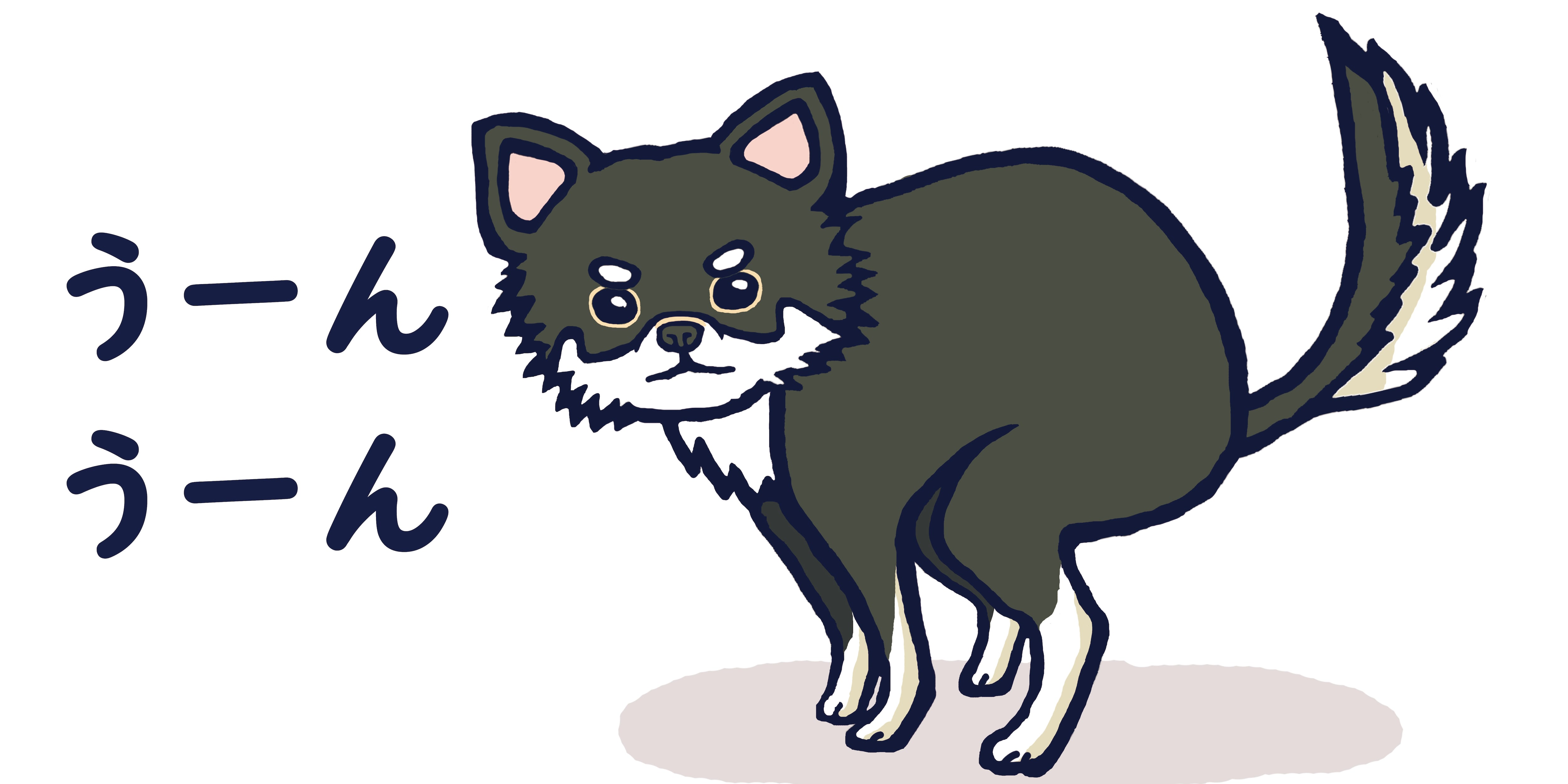 新装版：うんちがでますよ | 空とぶロバ出版