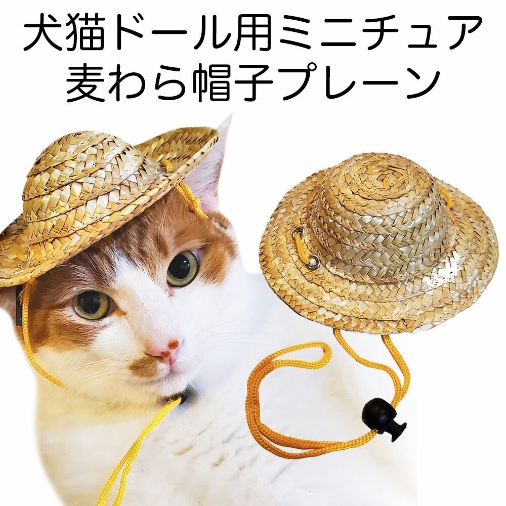 麦わら帽子Ꮇお好みカラー✗ホワイト犬・猫 プルメリア装飾❁handmade 犬猫・ドール用ミニチュア麦わら帽子 メキシコ風 | 百猫堂