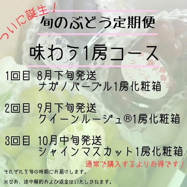 【販売終了】旬のぶどう定期便　3種のぶどうを味わう　1房コース