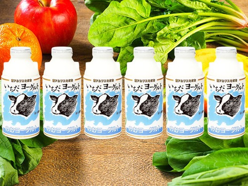 【配達日指定便★お得★】【定期便】飲むヨーグルト「いちだヨーグルト」500ml×6本/1回×6ケ月（J-56T*6）