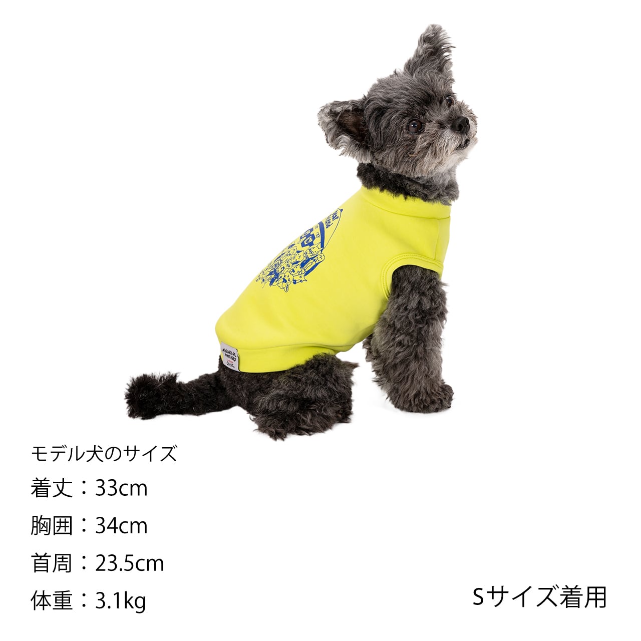 限定コラボ】Chi-bee CARDBORD KNIT（XL.XLB.XXL）チービー ダンボール