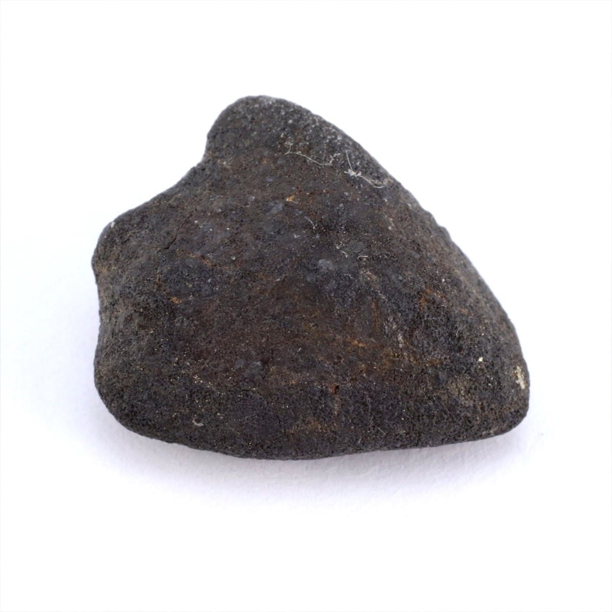 石質隕石 普通コンドライト | 隕石販売.jp 25%OFF