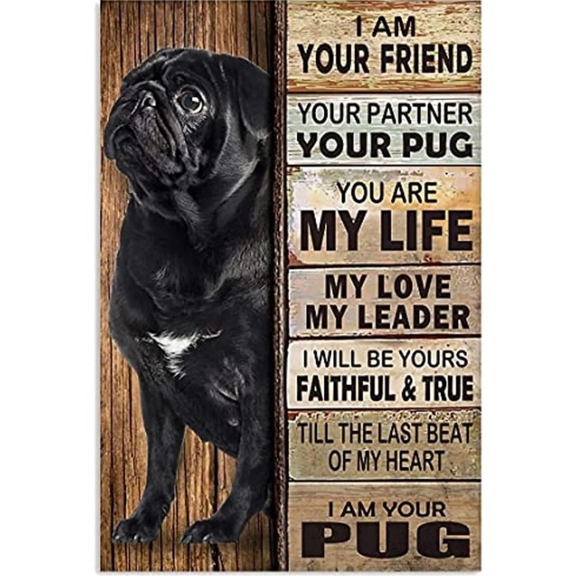 Wall decoration  -your pug-　　dc-53