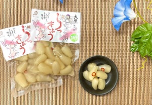 鳥取県産 らっきょう酢漬け 3袋セット　送料無料