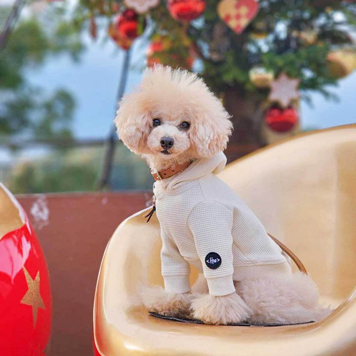 犬の服☆フワフワ気持ち良いワッフルニットのパーカーは良く伸びるので