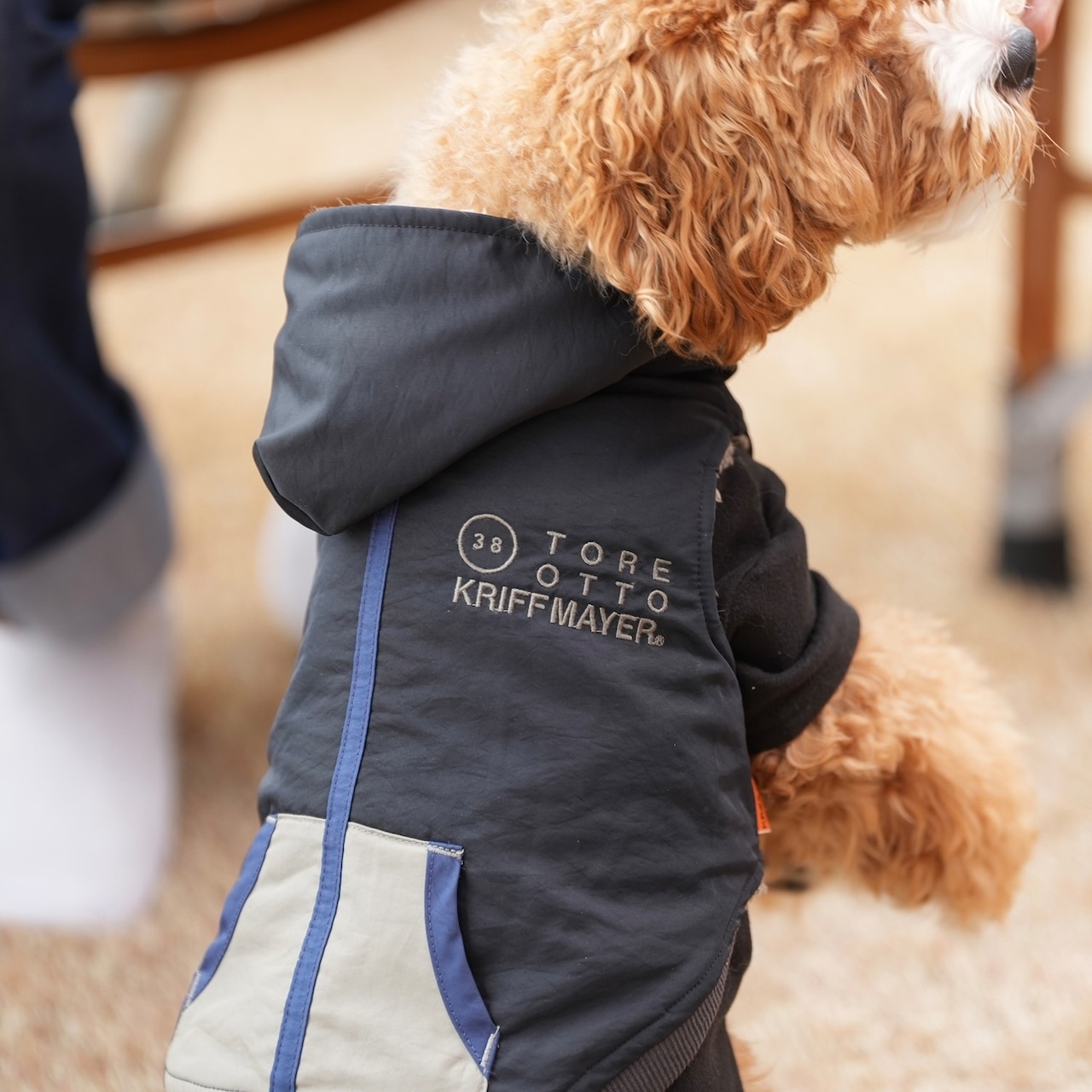 DOGひっくりベスト（BLACK）