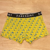 DARK SHINY しりあい