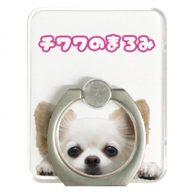 スマホリング チワワのまろみ 犬 Youtuber チワワのまろみのお店 スマホリング チワワのまろみ 犬 Youtuber チワワのまろみのお店