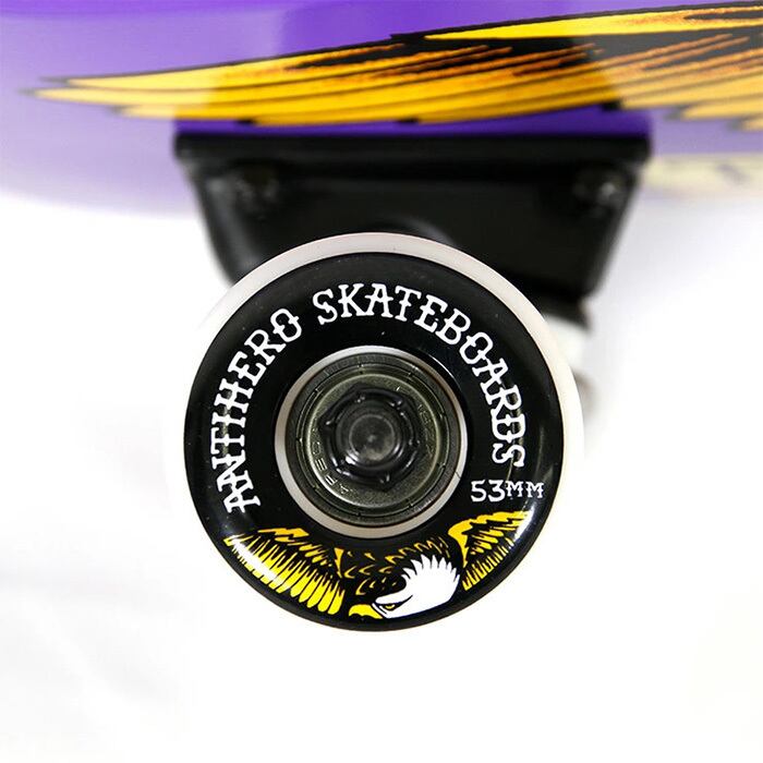 ANTIHERO CLASSIC EAGLE COMPLETE 7.3 7.5 7.75 inch Skateboard