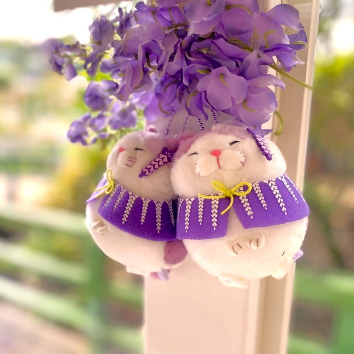 ひげまんじゅう藤の花 LMCみーさま | あしかがフラワーパーク