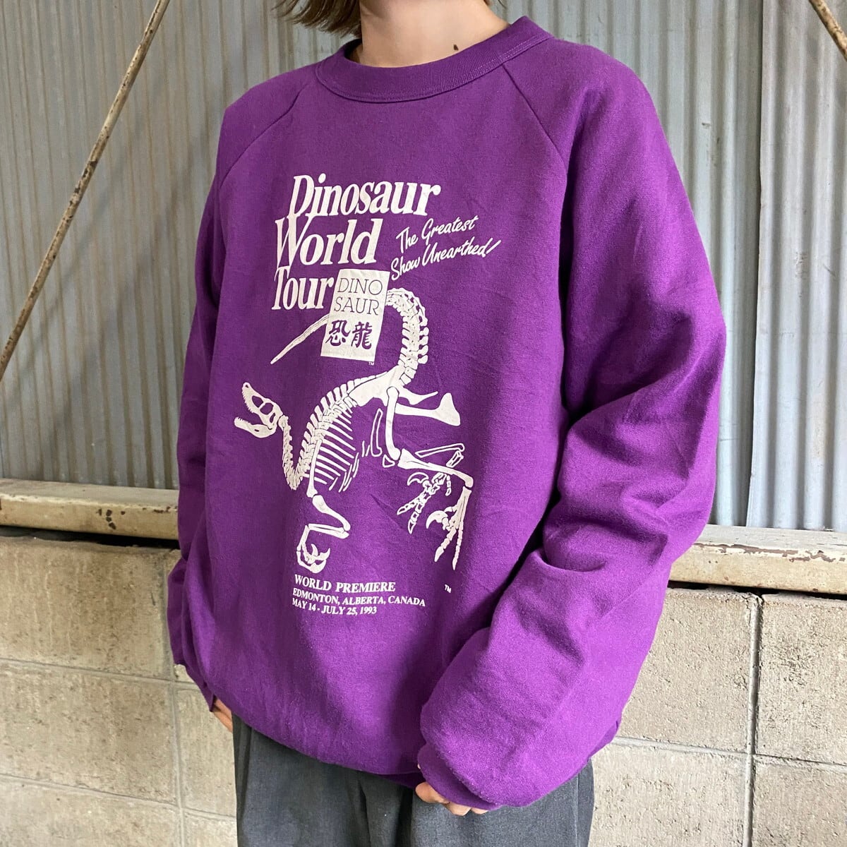 90年代 Dinosaur World tour ダイナソー 恐竜  プリント スウェットシャツ  メンズL相当