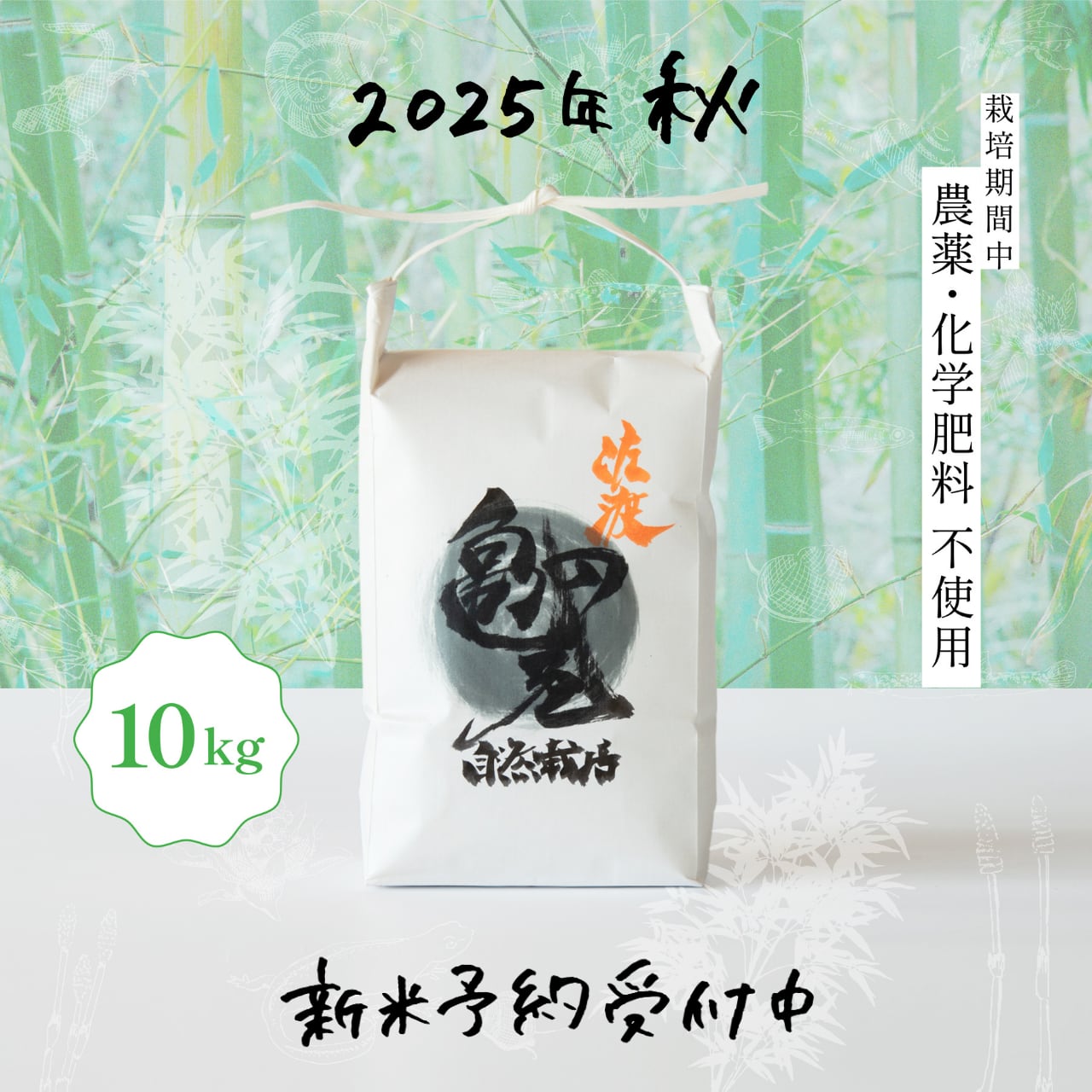 農薬不使用 自然栽培米 10kg 化学肥料不使用 肥料不使用 10キロ 玄米