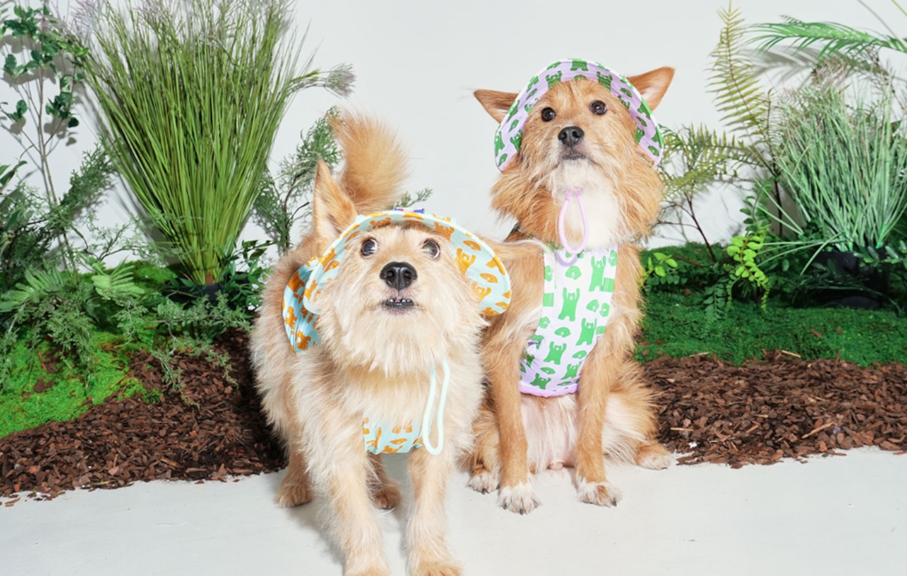 【PUPPYGALLERY公式】Bouncing Bear Bucket Hat　L-XL