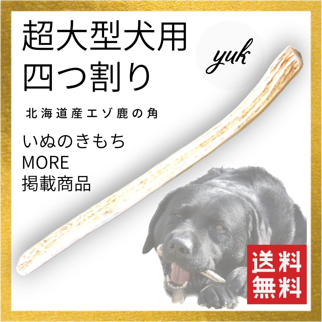 日本鹿の角北海道産一本 日本鹿の角北海道産一本 【