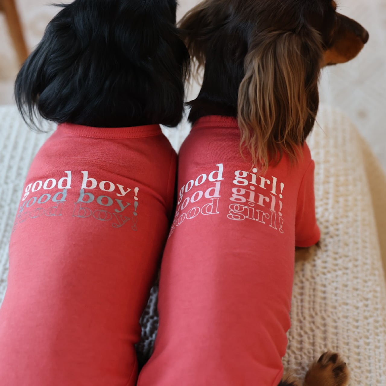 GOOD GIRL （Tシャツ） | カニンヘンダックスとミニチュアダックス専門