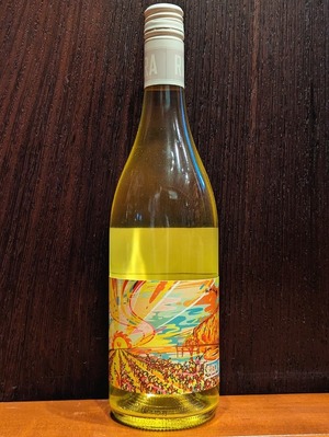 リッカ･テッラ･ハイヌーン･スキンコンタクト