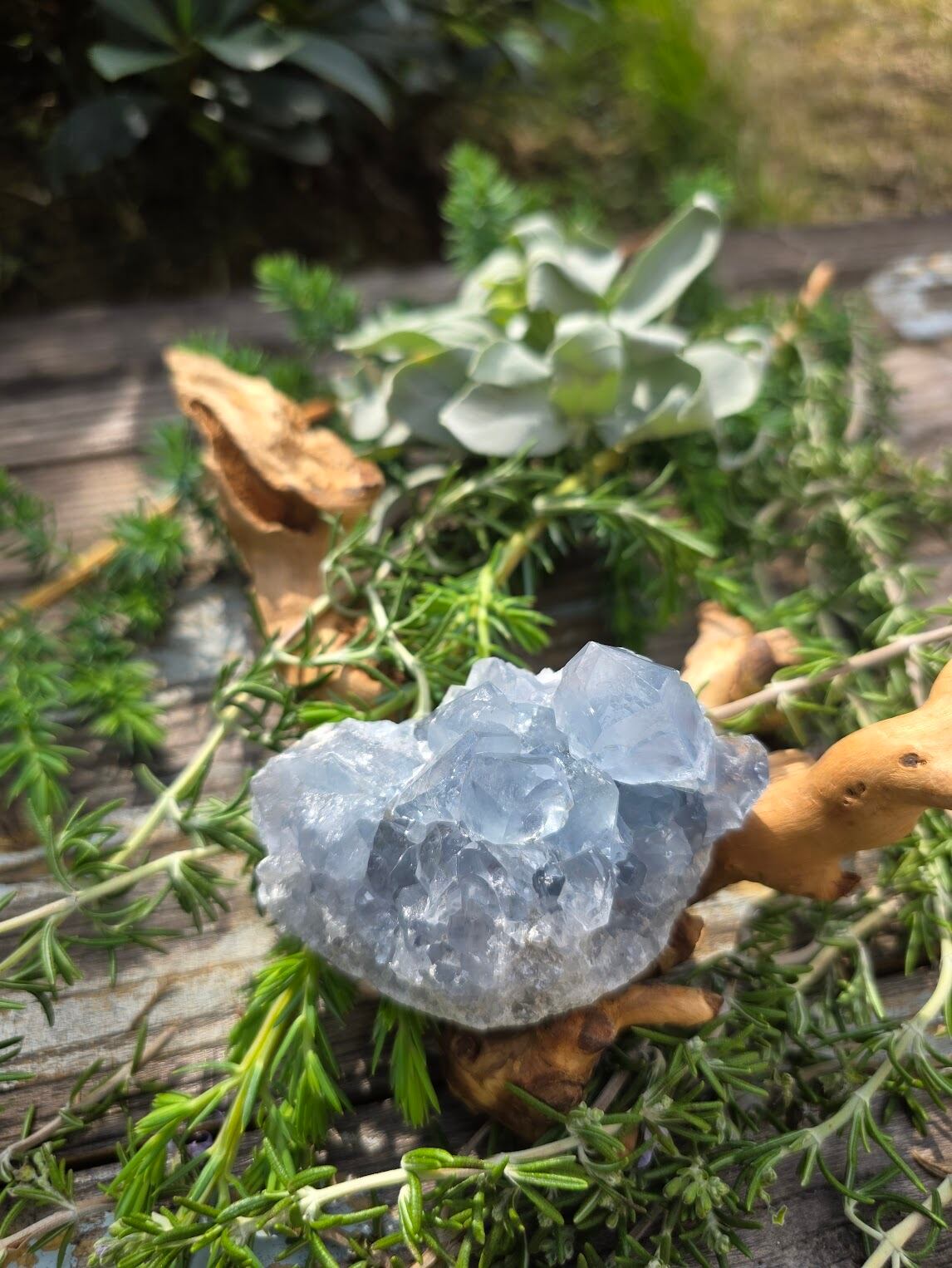 ヒマラヤ（マニカラン）水晶｜大地の浄化と神聖な力 | 日賀 Nichika
