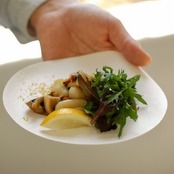 WASARA 丸皿(中)6枚入 | Square M (6pc) φ16.5cm | DM-005