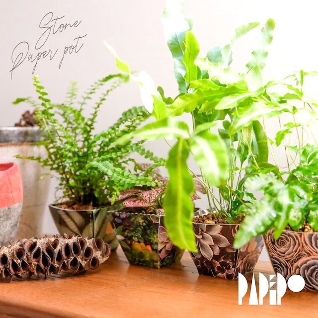 石から生まれた紙の鉢「ぺぱぽ」【５枚セット】