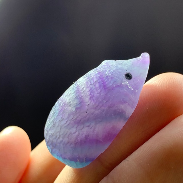 60後ろが青いフローライトハリネズミさん