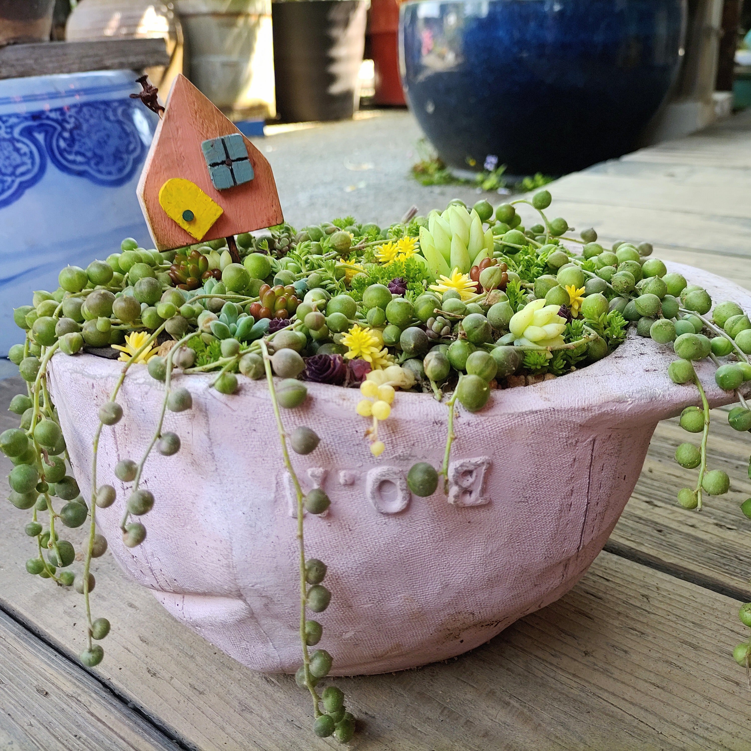 ★多肉植物　寄せ植え〜ブリキ　ハット寄せ〜★ グリーンネックレス寄せ植えピンクハット鉢入り | RuPo 多肉植物専門店