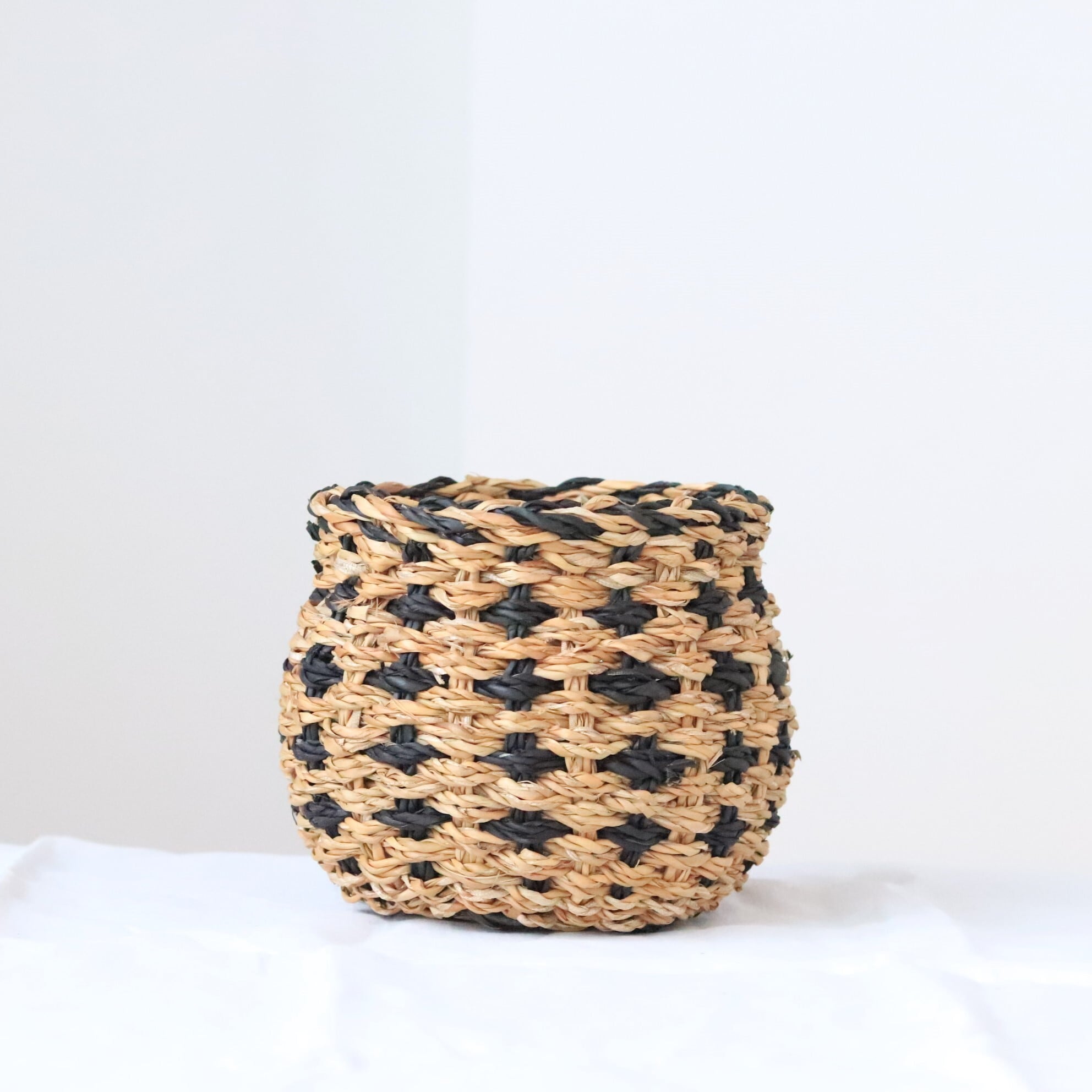 【雑貨】ホグラ草ゴードバスケット PT16