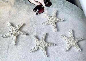starfish【pearl】L size