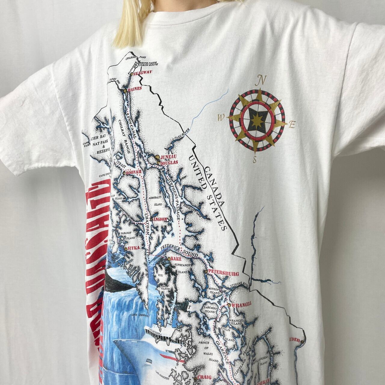 US ヴィンテージ 90s ビッグプリント シングルステッチ Tシャツ