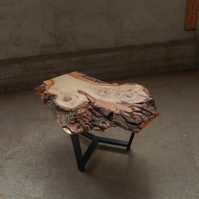 樹皮が野生的なポプラ 一枚板 ローテーブル