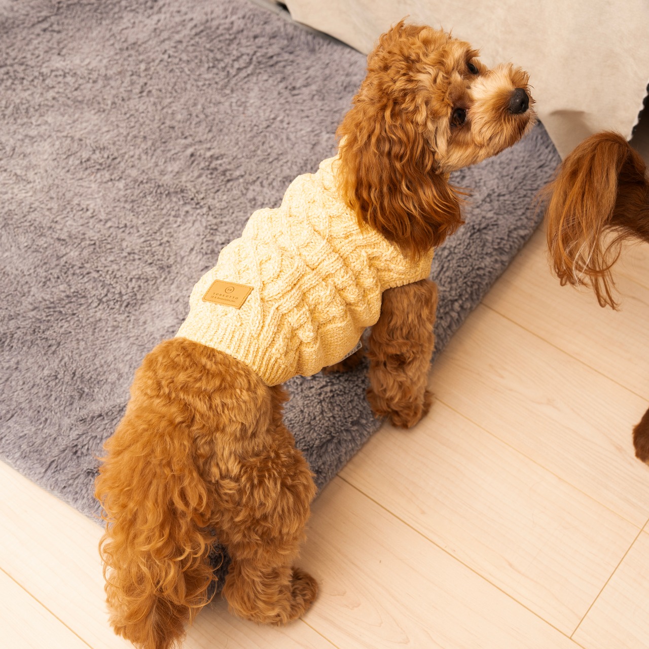 TOREOTTO38 DOG KNITVEST / YELLOW