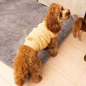 TOREOTTO38 DOG KNITVEST / YELLOW